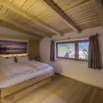 Apartment Berghof Zillertal Fuegen